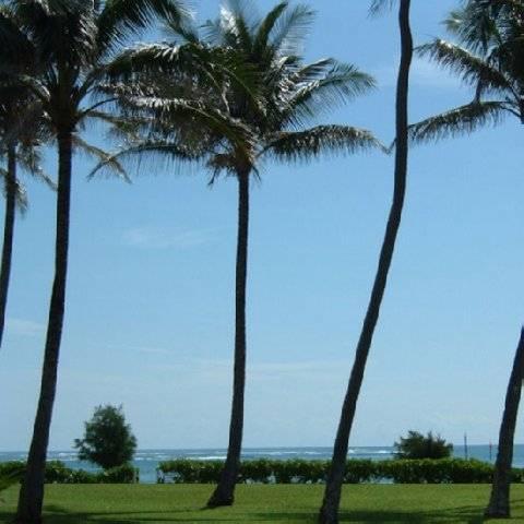 Fairway Villas Honolulu Exteriör bild