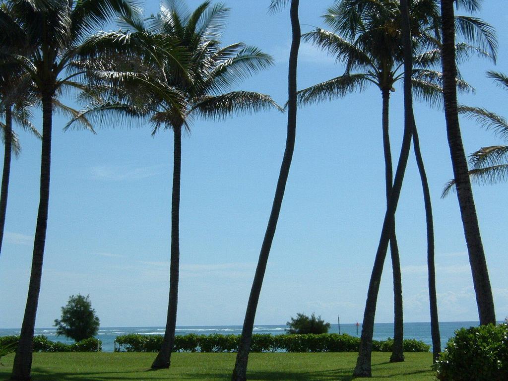 Fairway Villas Honolulu Exteriör bild
